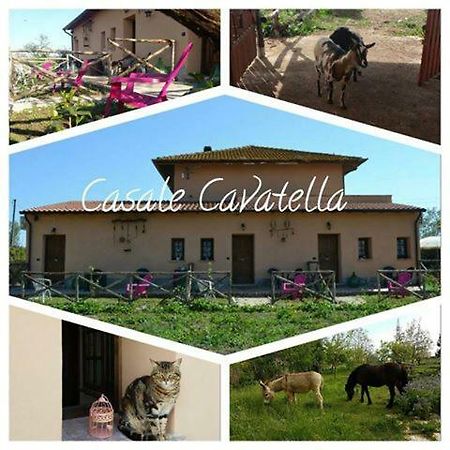 Casale Cavatella Bed & Breakfast Сермонета Екстериор снимка